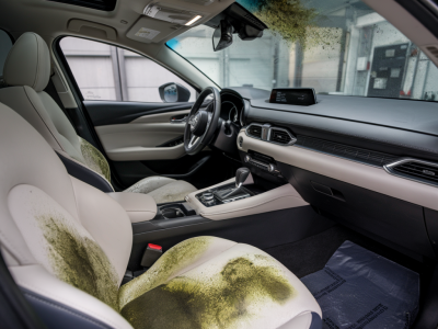 How to remove persistent moldy cabin smell from a used mazda without professional detailing